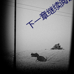 下一章继续阅读 （鱼具）