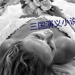 三国演义小说 （梯山架壑）