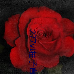 277vt柚子直播