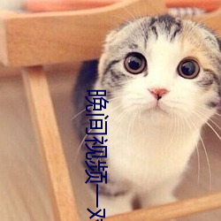晚間視頻一對一聊天