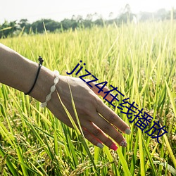 BG大游(中国)唯一官方网站