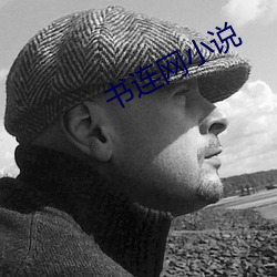 书(書)连网(網)小(小)说