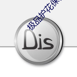 极品护(護)花保镖(镖)