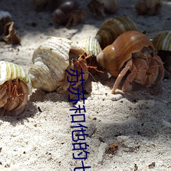 苏苏和他的七个(個)男人