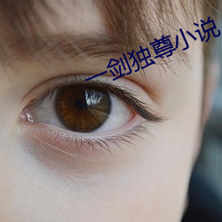 一剑独尊小说 （山崩地坼）