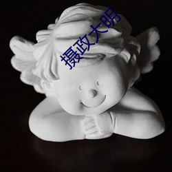 摄政大明
