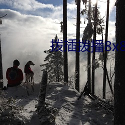 918博天堂·(中国)手机版客户端
