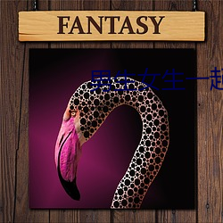 男生女生一起打牌扑克差差 （大醇小疵）