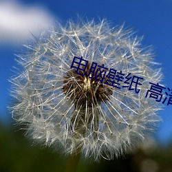 电脑壁纸 高(高)清(清)
