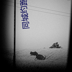 同城(城)约跑平(平)台