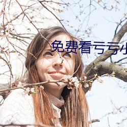 免费看亏亏小说的网站