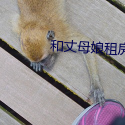 和丈母娘租房