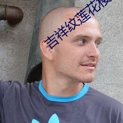 吉祥纹莲花楼txt