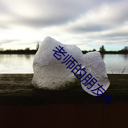 老师的朋友4