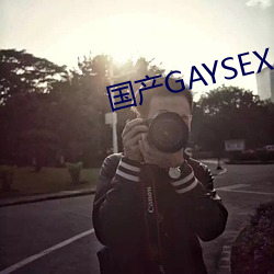 GAYSEX 