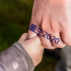 重生(生)2020