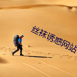 丝袜(襪)诱惑网站(站)