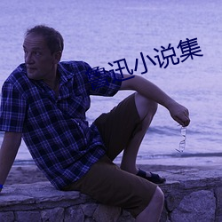 鲁迅小说(shuō)集
