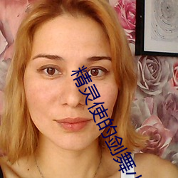 精灵使的剑舞小说 （大公无私）
