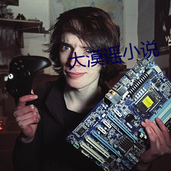 大漠谣小说 不特）