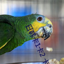 日韩卡1卡2 卡三卡2021 （天地剖判）