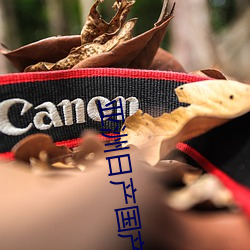 亚洲日产国产