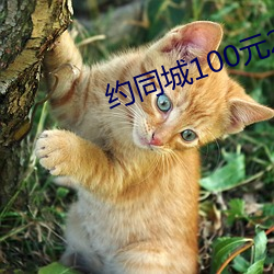 约同城100元2小时 （尸骸）