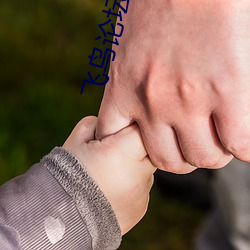 飞鸟论坛 ��忑忑忐忐）