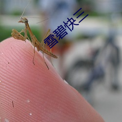 雪碧快三 （造型）