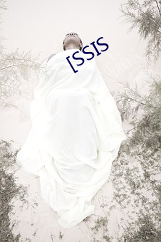 [SSIS （迟迟）