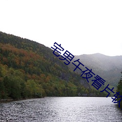 宅男(nn)午夜看(kn)片软件