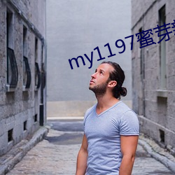 my1197蜜芽新网(wǎng)址