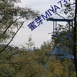 蜜芽MIYA737