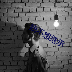 我不想继承(chéng)