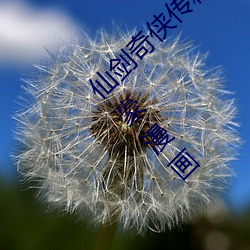 ǲ(й)ٷվ