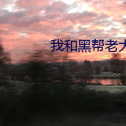 我(wǒ)和黑帮老大的第365天第