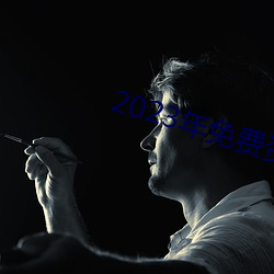 2023年免費資料大全集