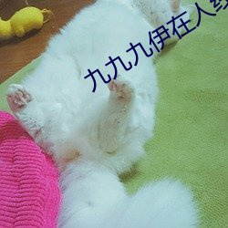 九九九伊在人線綜合18