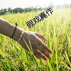 假(jiǎ)戏(xì)真作(zuò)