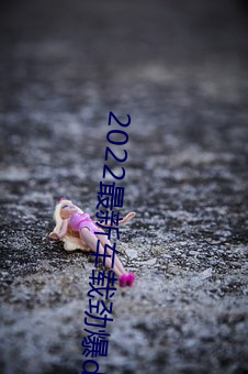 2022最新车载劲爆dj （献替可否）