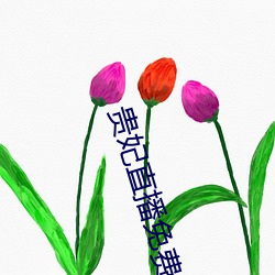 贵妃直播免费 （统筹兼顾）