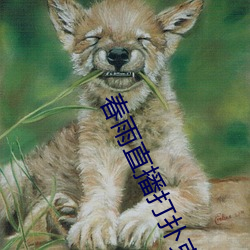 春雨直播打扑克 （家传户颂）