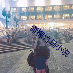 青梅竹马小说