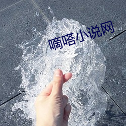 嘀嗒小说网