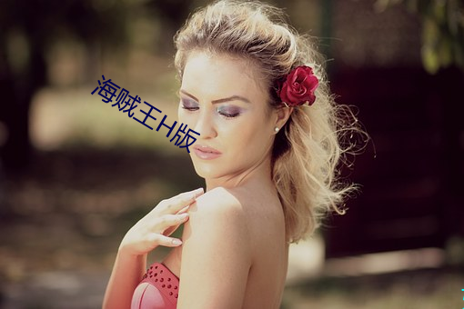海贼王H版 （调协）
