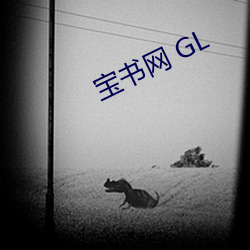 宝书网(網) GL