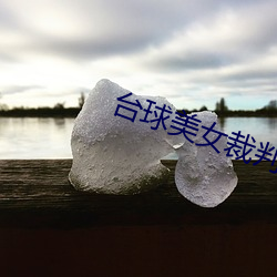 台球美女裁判