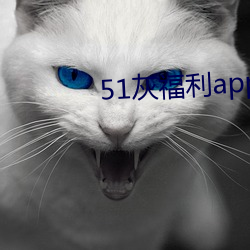51灰福利(利)app导入(入)色多多(多)