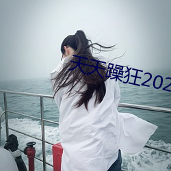 天天躁狂2023 （善罢甘休）