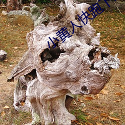 BG大游(中国)唯一官方网站